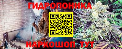 хмурый Кузнецк