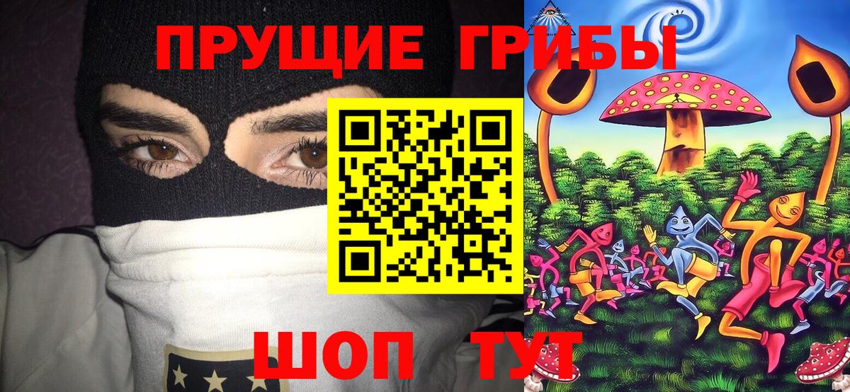 Псилоцибиновые грибы Magic Shrooms  Вход с VPN  Ленинск-Кузнецкий 