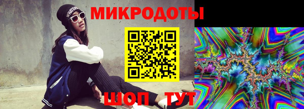 Галлюциногенные грибы Psilocybine cubensis Ленинск-Кузнецкий